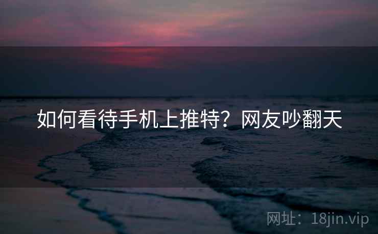 如何看待手机上推特?网友吵翻天 第1张 如何看待手机上推特?网友吵翻天 第1张